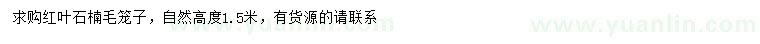 求購(gòu)紅葉石楠
