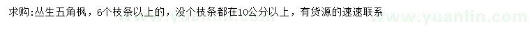 求購6分枝以上叢生五角楓