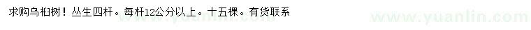 求購4分枝叢生烏桕