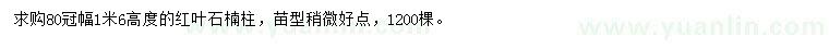 求購1米6高度的紅葉石楠柱
