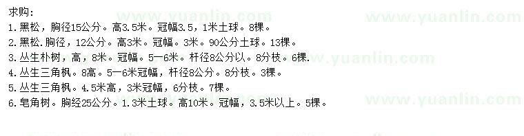 求購黑松、叢生樸樹、叢生三角楓等