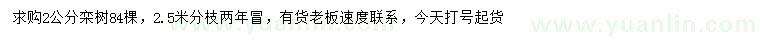 求購2公分欒樹
