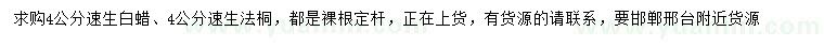 求購4公分速生白蠟、速生法桐綠化苗木
