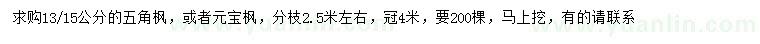 求購13/15公分五角楓或元寶楓