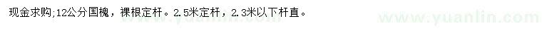 求購12公分國槐