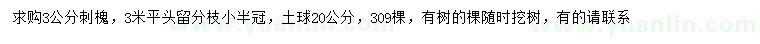 求購3公分刺槐