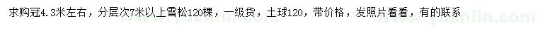 求購(gòu)7米以上雪松