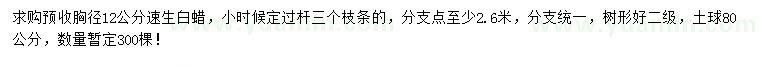 求購(gòu)胸徑12公分速生白蠟