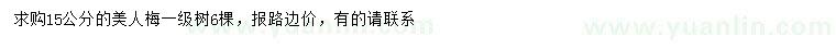 求購15公分美人梅