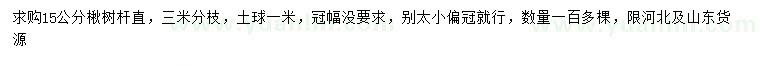 求購15公分楸樹