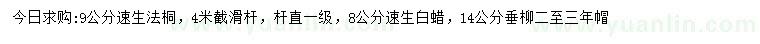 求購速生法桐、速生白蠟、垂柳