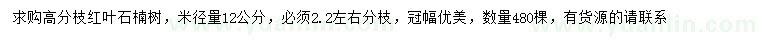 求購(gòu)12公分紅葉石楠
