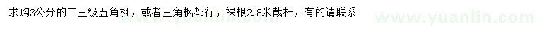 求購3公分五角楓