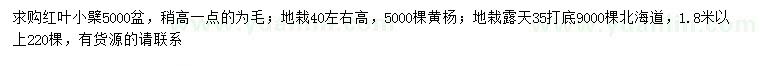 求購(gòu)紅葉小檗、黃楊、北海道黃楊