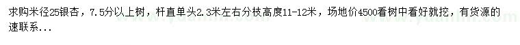 求購米徑25公分銀杏