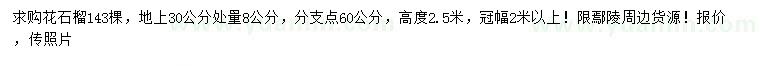 求購30量8公分花石榴