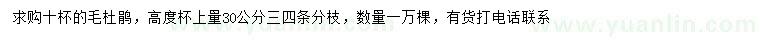 求購(gòu)杯上量30公分毛杜鵑