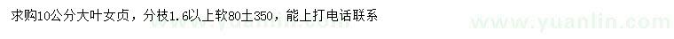 求購10公分大葉女貞