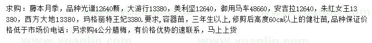 求購藤本月季、4公分臘梅