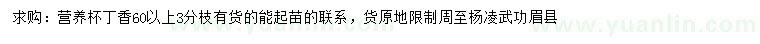 求購(gòu)60公分以上丁香