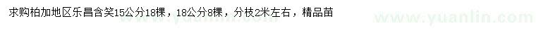 求購15、18公分樂昌含笑