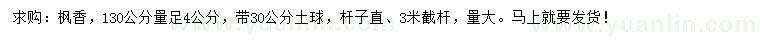 求購130公分量足4公分楓香