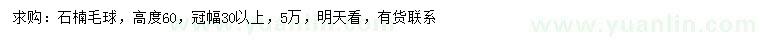 求購(gòu)高60公分石楠球