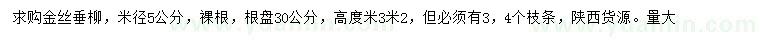 求購米徑5公分金絲垂柳