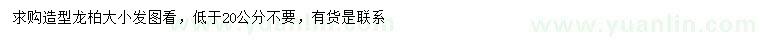 求購20公分以上造型龍柏