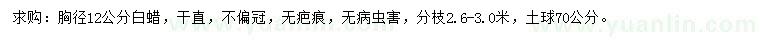 求購胸徑12公分白蠟
