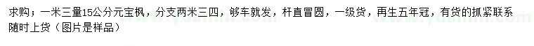 求購1.3米量15公分元寶楓