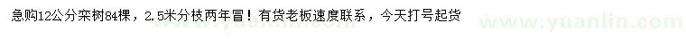求購12公分欒樹