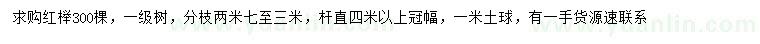 求購(gòu)冠幅4米以上紅櫸