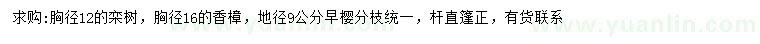 求購(gòu)欒樹、香樟、早櫻