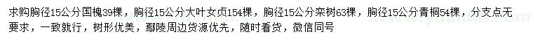 求購國槐、大葉女貞、欒樹等