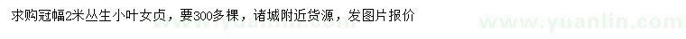 求購(gòu)冠幅2米叢生小葉女貞