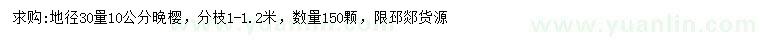 求購30量10公分晚櫻