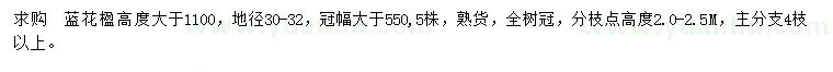 求購地徑30-32公分藍(lán)花楹