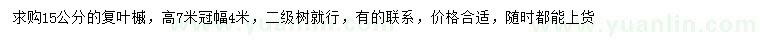 求購15公分復(fù)葉槭