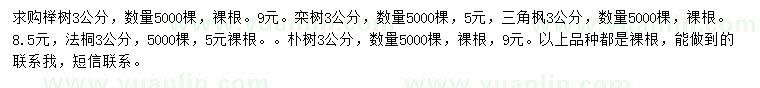 求購(gòu)櫸樹、欒樹、法桐等