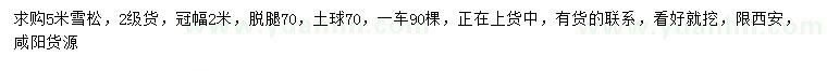 求購5米雪松