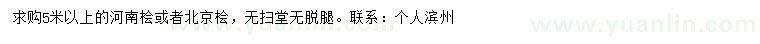 求購5米以上河南檜、北京檜