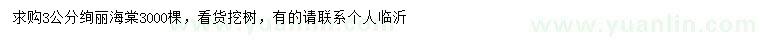 求購3公分絢麗海棠