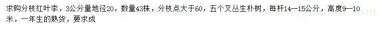 求購3公分量地徑20公分紅葉李