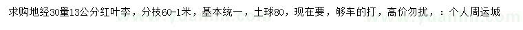 求購地徑30量13公分紅葉李