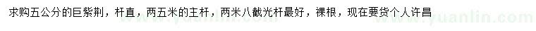求購(gòu)5公分巨紫荊