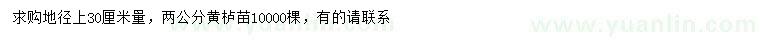 求購地徑30公分量2公分黃櫨