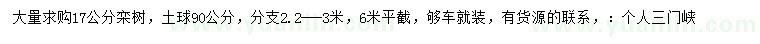 求購17公分欒樹