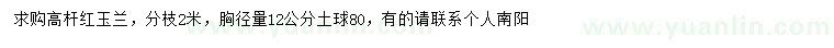 求購(gòu)12公分高桿紅玉蘭