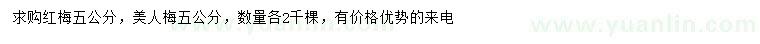 求購(gòu)5公分紅梅、美人梅